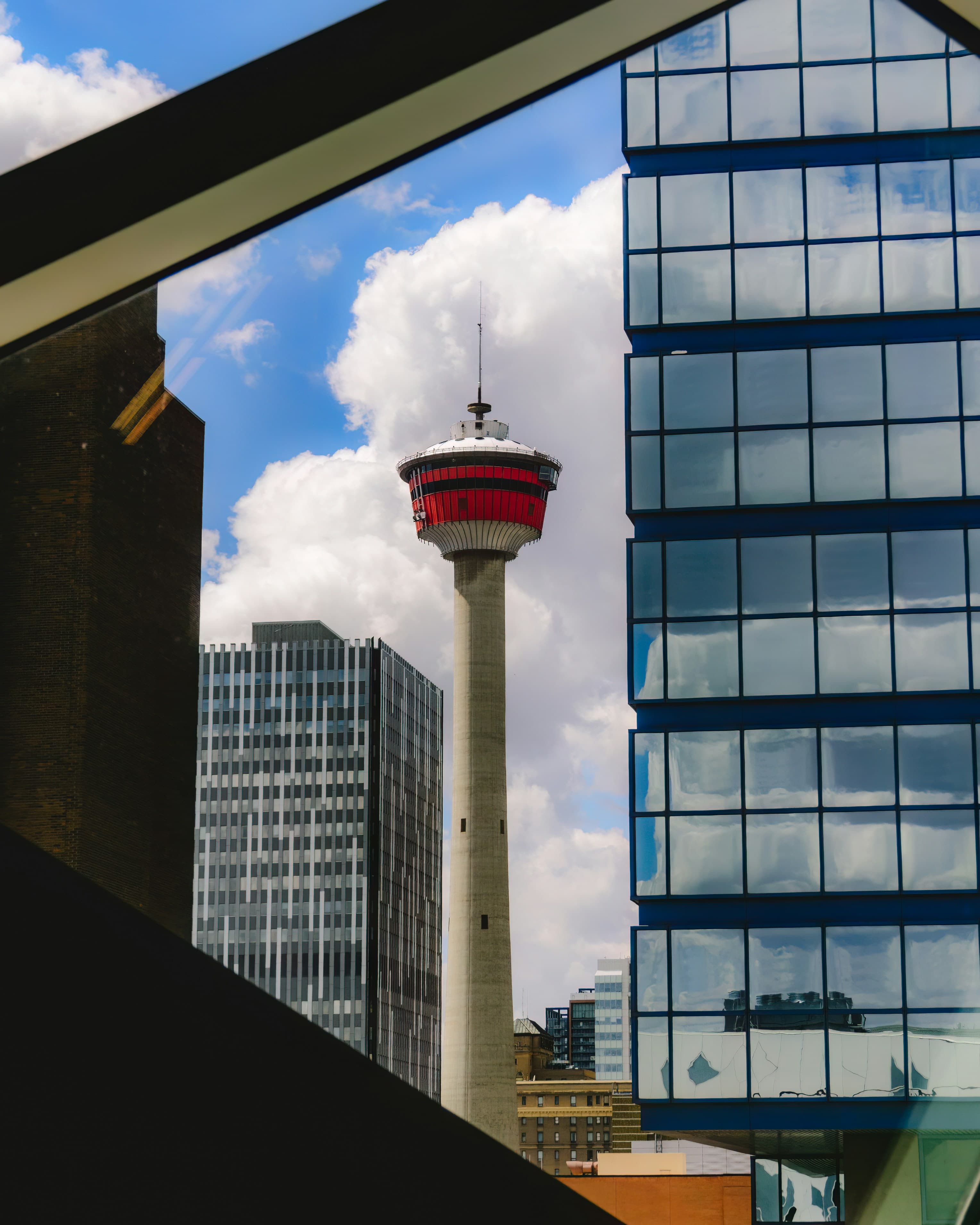 The Calgary Tower seen between downtown office buildings against a blue sky